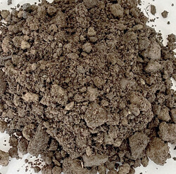 Fraseba Silo EE Pflanzsubstrat leicht (0/16)